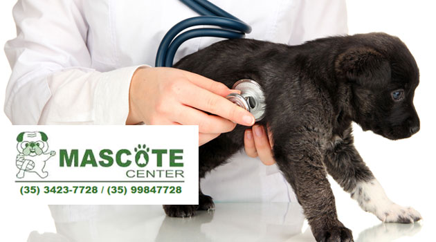 Dermatologia Veterinária em Pouso Alegre