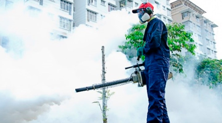 Desinsetização 24 Horas no Morumbi Snake Control