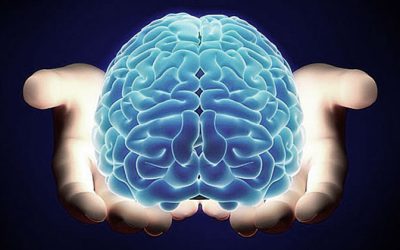 Fisioterapia Neurológica em Perdizes