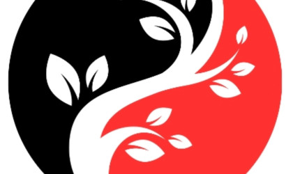 IMG_20250112_211910_333