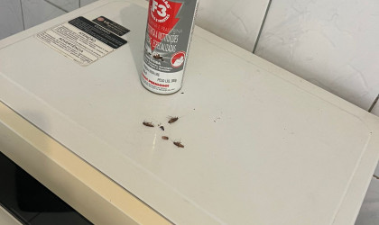 WhatsApp Image 2025-08-28 at 15.24.29